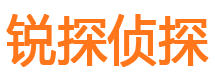 眉山市侦探调查公司